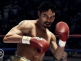 Video Fight Night Champion
