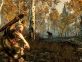 Screens The Elder Scrolls V : Skyrim
