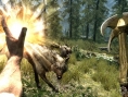 The Elder Scrolls V : vive le solo