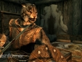 TES V Skyrim : images et infos