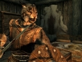 E.Expo : Skyrim entre les mains du public