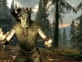 GC 2011 : images TES V Skyrim
