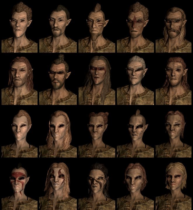 TES V Skyrim : les dix races