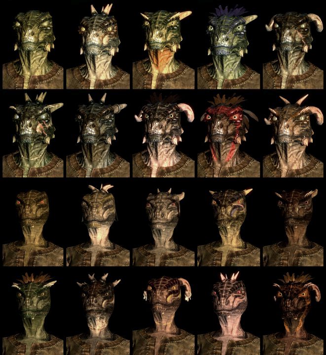 TES V Skyrim : les dix races