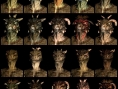 TES V Skyrim : les dix races
