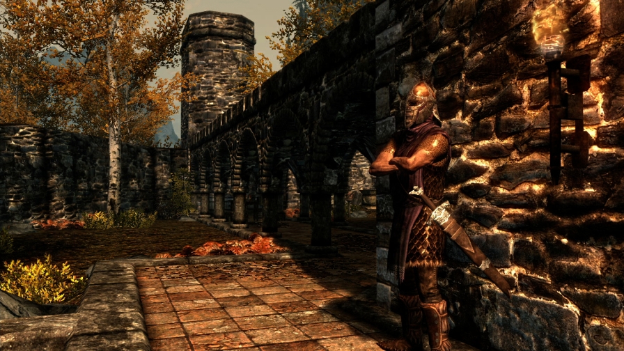 Images The Elder Scrolls V : Skyrim