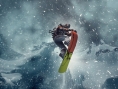 Video SSX