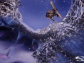 Video SSX