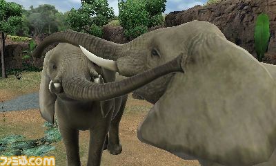 Animal Resort : quelques images