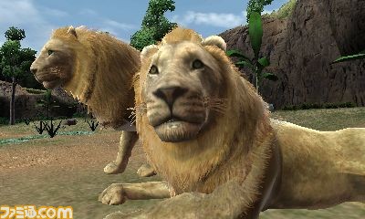 Imagenes de Animal Resort