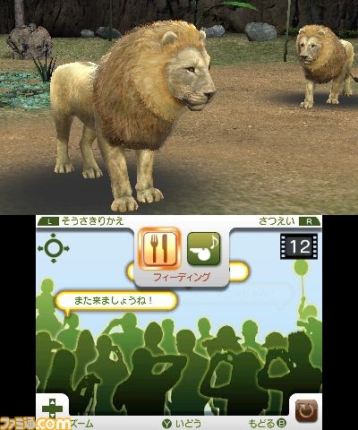 Animal Resort: new images