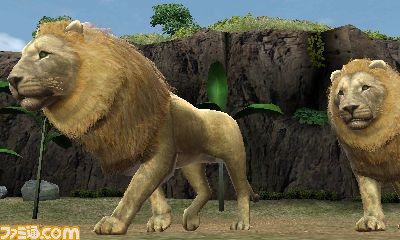 Animal Resort: new images