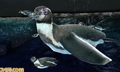 Animal Resort: new images