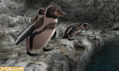 Animal Resort: new images