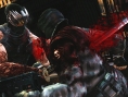 Ninja Gaiden III compatible PS Move