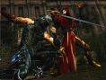 Ninja Gaiden III compatible PS Move