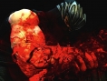 Screens Ninja Gaiden III : Razor's Edge