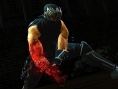 Screens Ninja Gaiden III : Razor's Edge