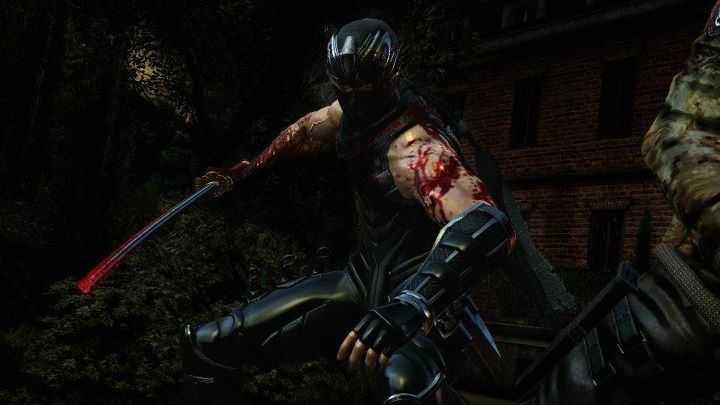 Images Ninja Gaiden III : Razor's Edge
