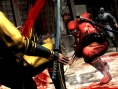 Ninja Gaiden III : le multi se présente