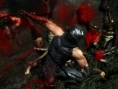 Screens Ninja Gaiden III