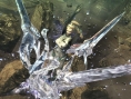 Images Anarchy Reigns
