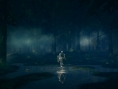 Screens Dark Souls