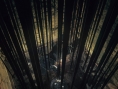 Screens Dark Souls
