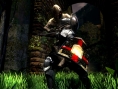 Screens Dark Souls