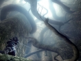 Dark Souls : quelques infos
