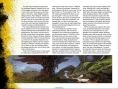 Borderlands 2 : quelques scans