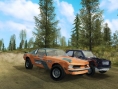 FlatOut : avalanche d'images