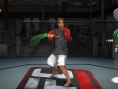 S'entraîner à l'UFC dans son salon