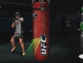 S'entraîner à l'UFC dans son salon