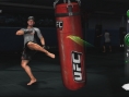 S'entraîner à l'UFC dans son salon