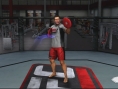 S'entraîner à l'UFC dans son salon
