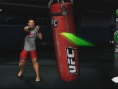 S'entraîner à l'UFC dans son salon