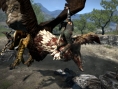 Captivate 2011 : Dragon's Dogma se dévoile !