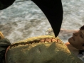 Images Dragon's Dogma