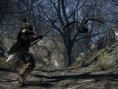 Images Dragon's Dogma