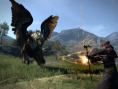 Images Dragon's Dogma