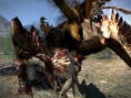 Images Dragon's Dogma
