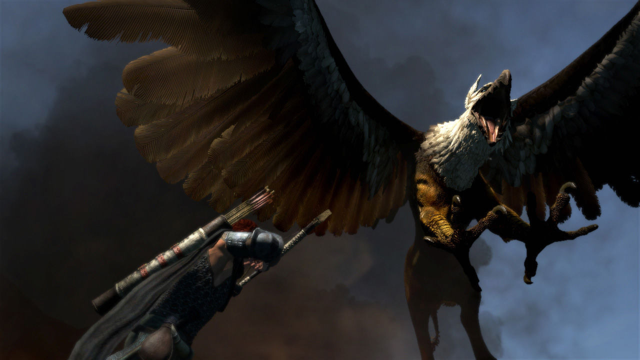 Images Dragon's Dogma
