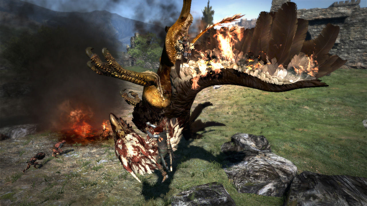 Images Dragon's Dogma