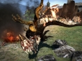 Images Dragon's Dogma