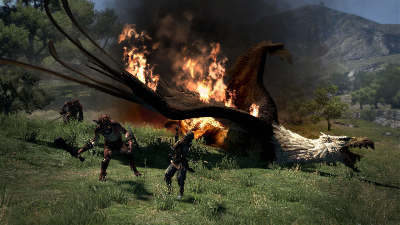 Images Dragon's Dogma