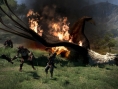 Images Dragon's Dogma