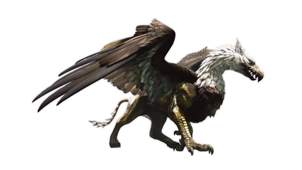 Images Dragon's Dogma