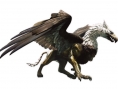 Images Dragon's Dogma