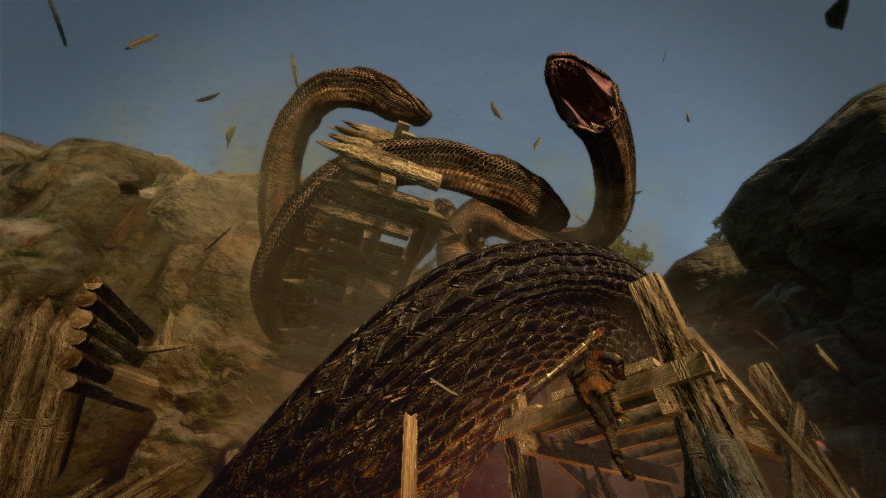 Images Dragon's Dogma